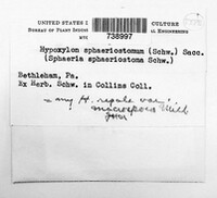 Image Associated With the Occurence